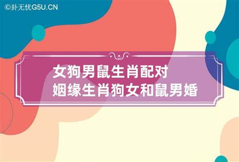 男屬狗女屬龍|屬狗女與不同生肖男的生肖配對